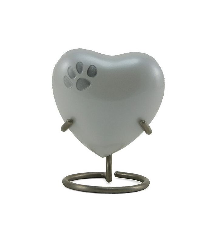 Odyssey beige or ou noir