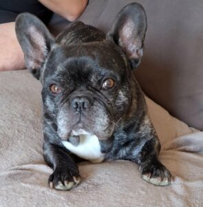 Messenger creation D0A76AF6 AA6E 45F3 8DAF 53FF55F520D9.jpeg